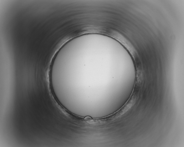 X0000101430906200807211147