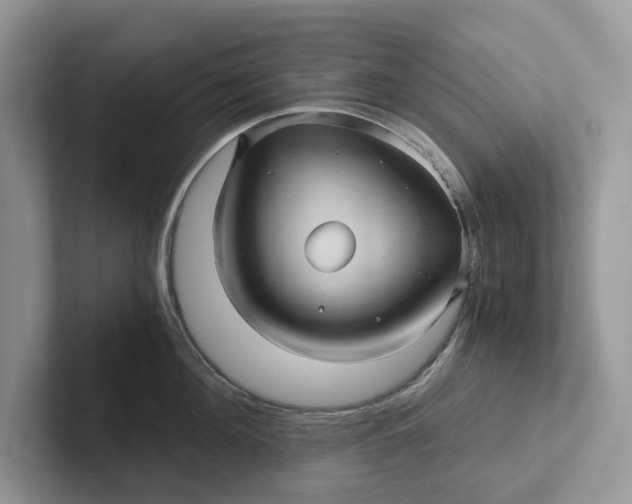 X0000101430908200807211147