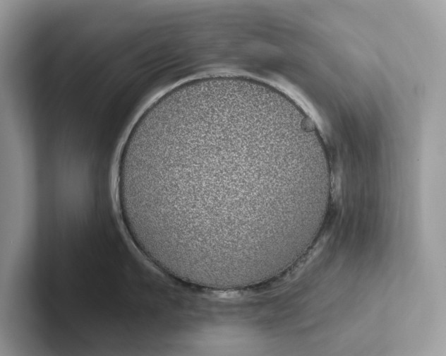 X0000101430911200807211147