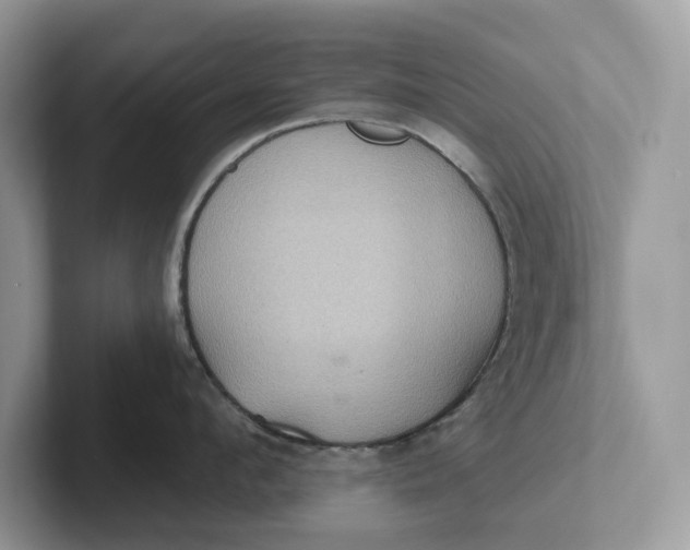 X0000101430912200807211147