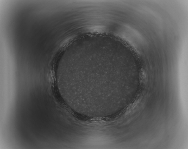 X0000101430918200807211147