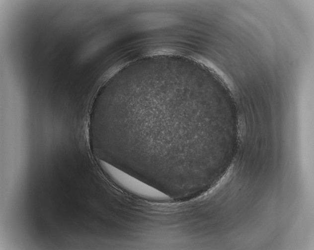 X0000101430921200807211147