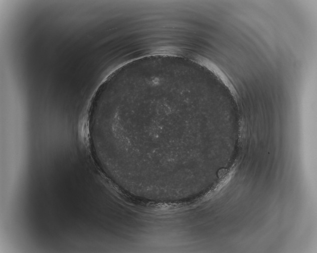 X0000101430923200807211147