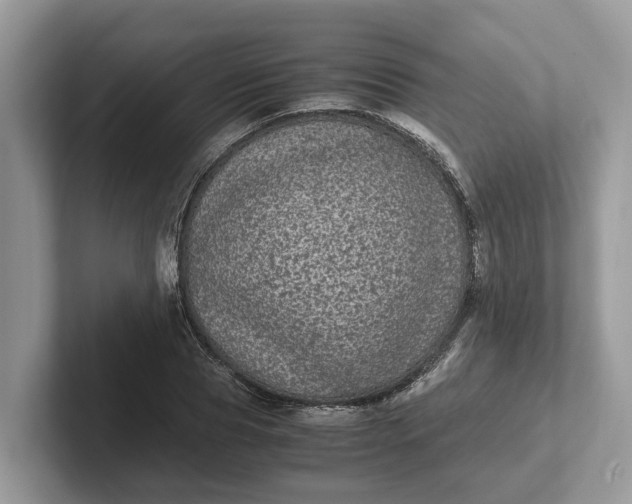 X0000101430929200807211147