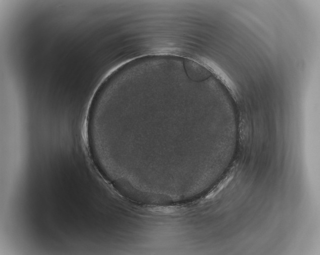 X0000101430932200807211147