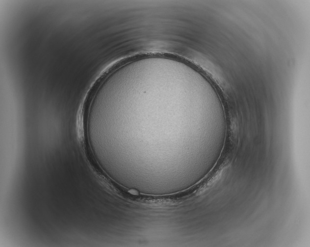 X0000101430934200807211147