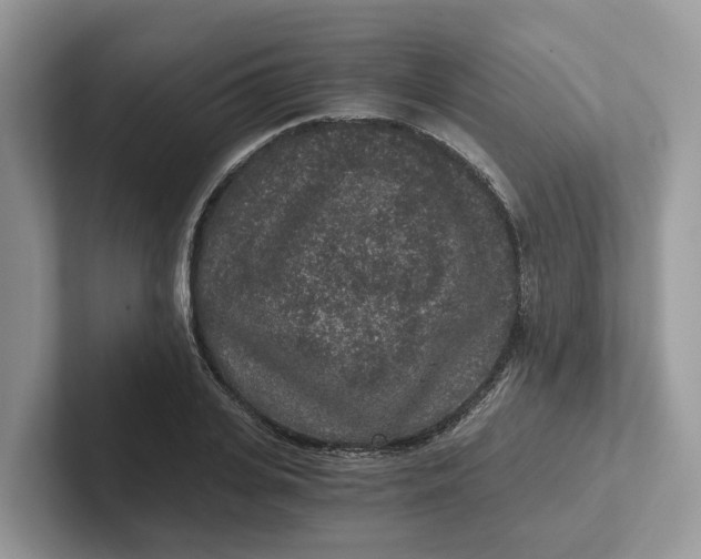 X0000101430935200807211147