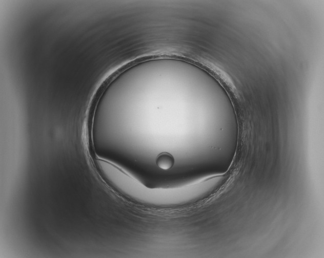 X0000101430936200807211147