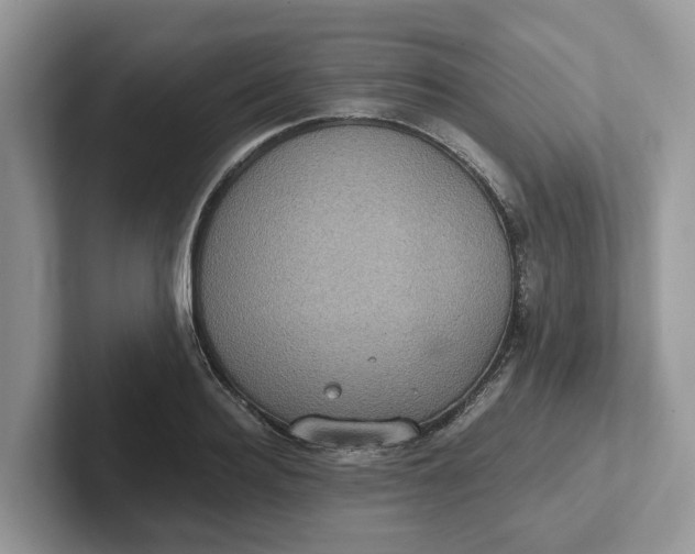 X0000101430940200807211147