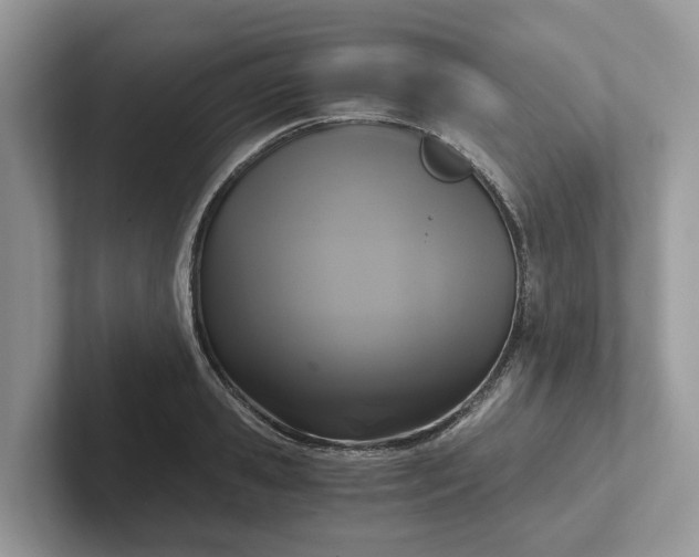 X0000101430941200807211147