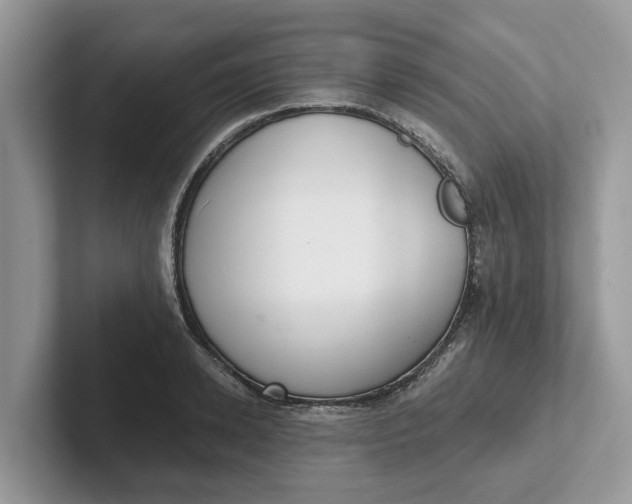 X0000101430942200807211147