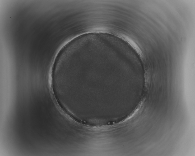 X0000101430944200807211147