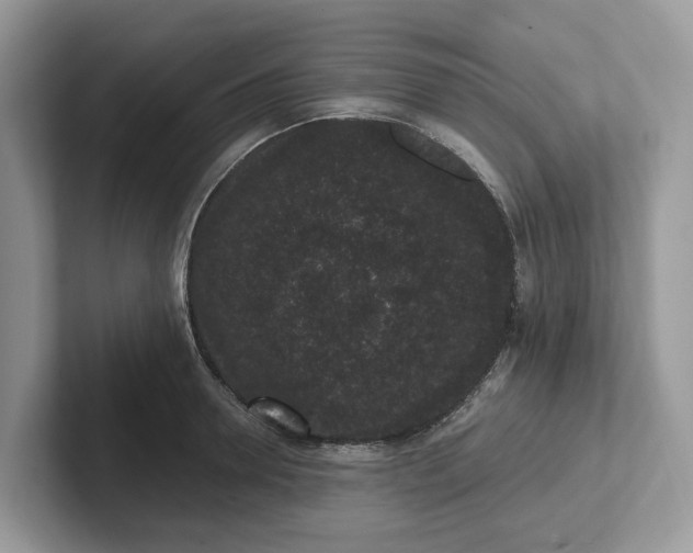 X0000101430946200807211147