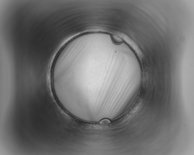 X0000101430951200807211147