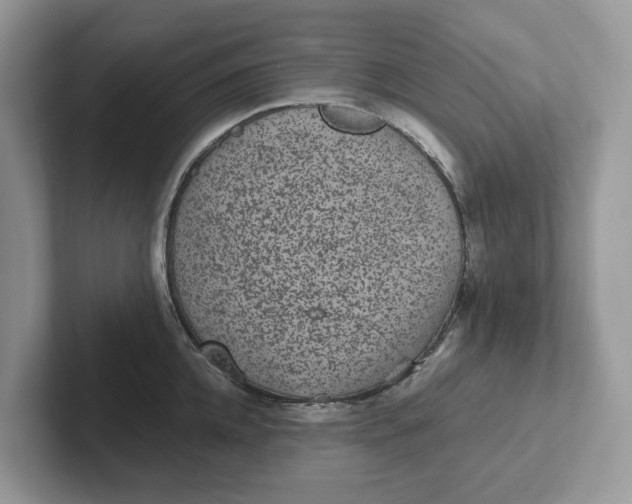 X0000101430952200807211147