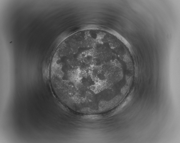 X0000101430953200807211147