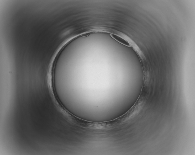 X0000101430955200807211147