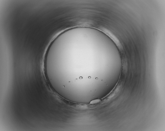 X0000101430956200807211147