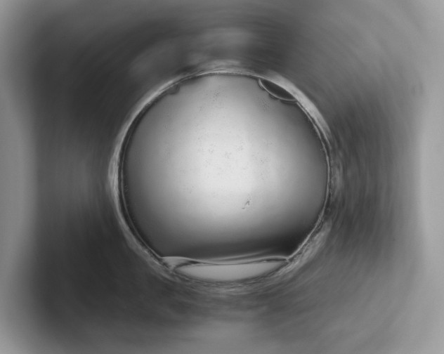 X0000101430957200807211147