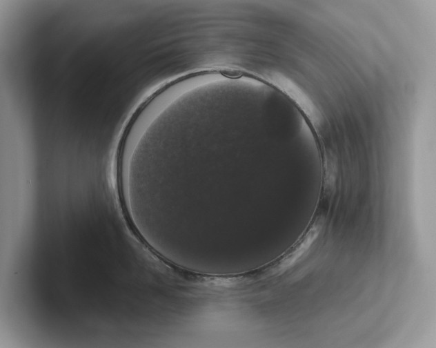 X0000101430958200807211147