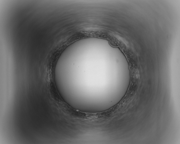 X0000101430965200807211147