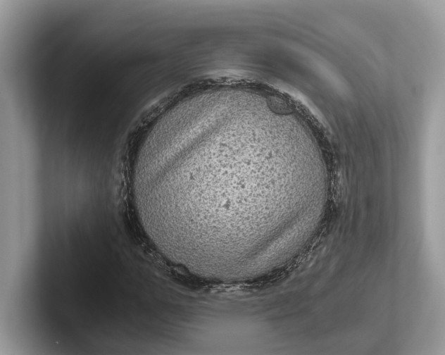 X0000101430967200807211146