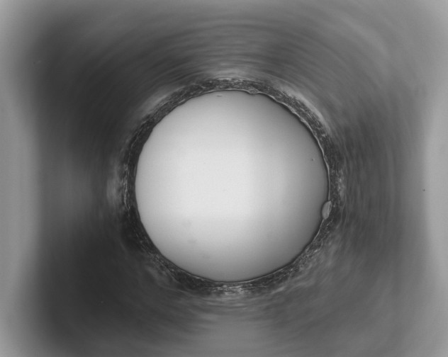 X0000101430968200807211146