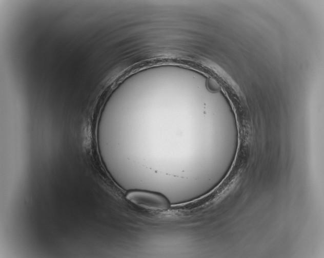 X0000101430969200807211146