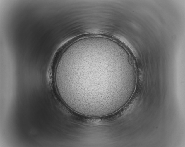 X0000101430971200807211146