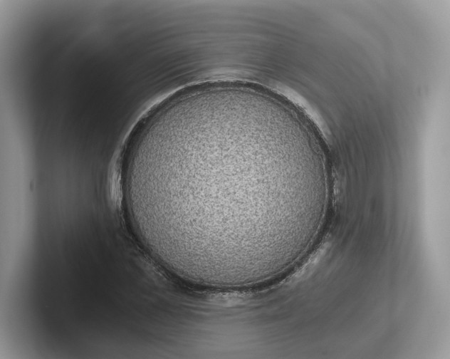 X0000101430973200807211146