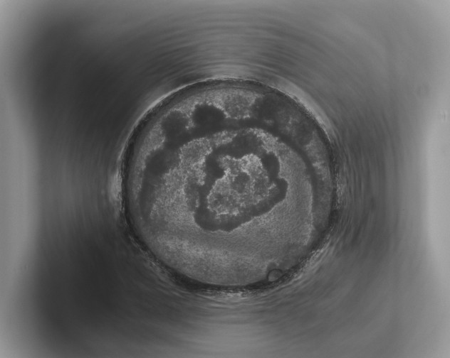 X0000101430975200807211146