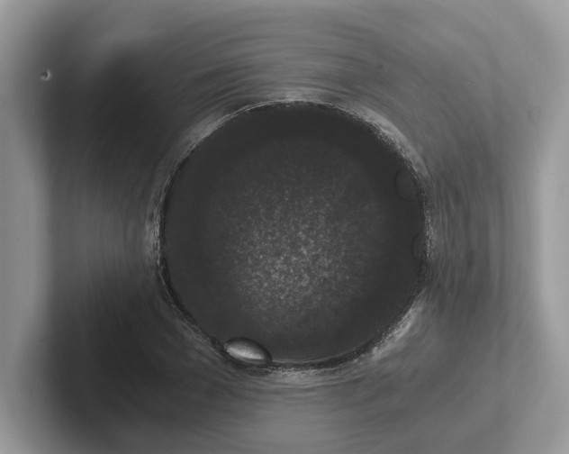 X0000101430977200807211146