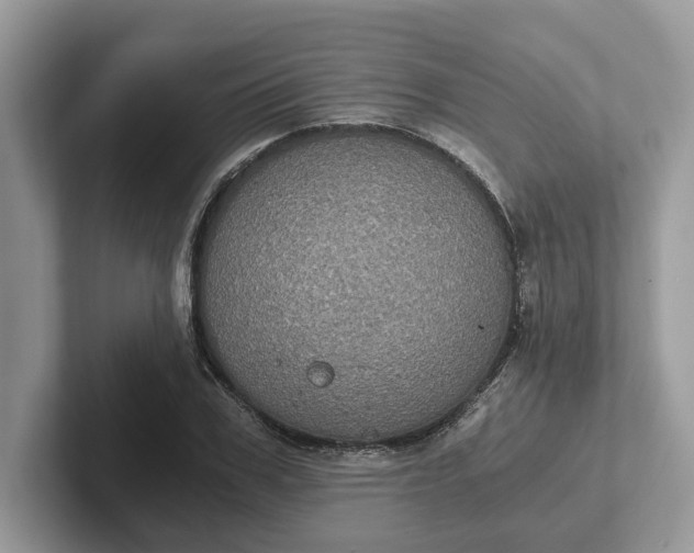 X0000101430979200807211146