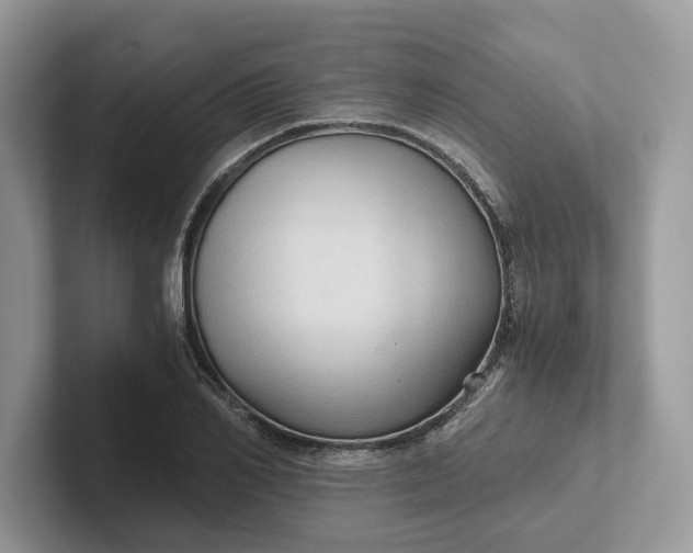 X0000101430982200807211146