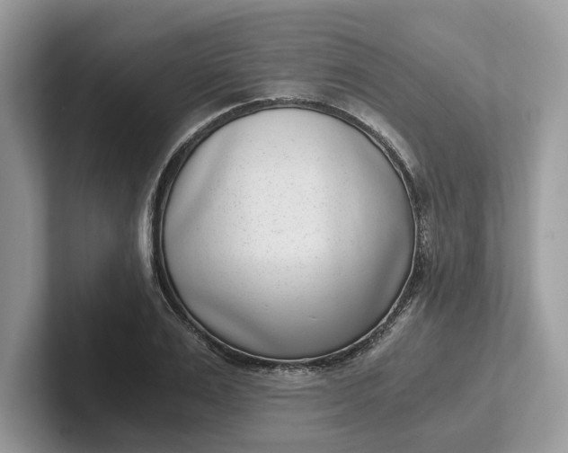 X0000101430983200807211146