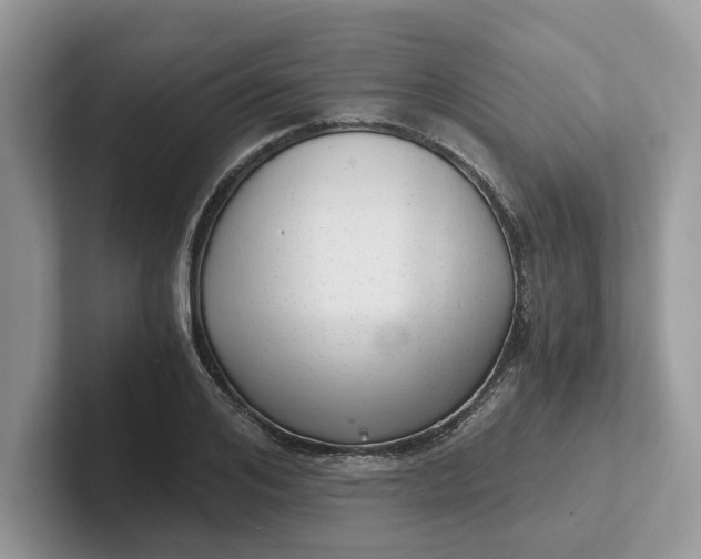 X0000101430984200807211146