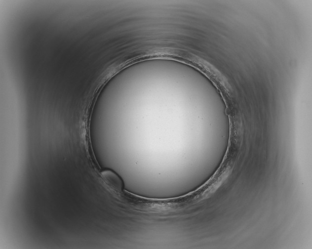 X0000101430985200807211146