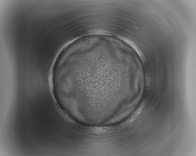 X0000101430987200807211146