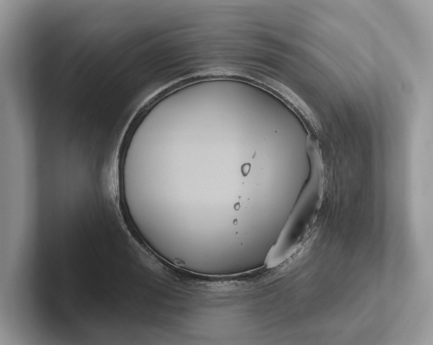 X0000101430988200807211146