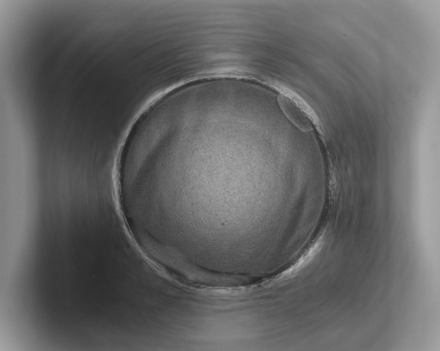 X0000101430989200807211146