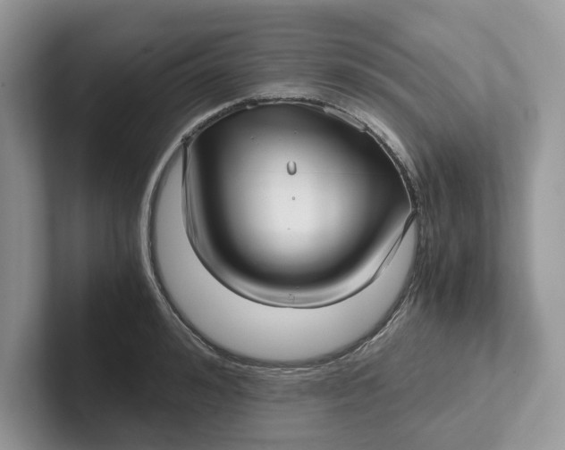 X0000101430992200807211146