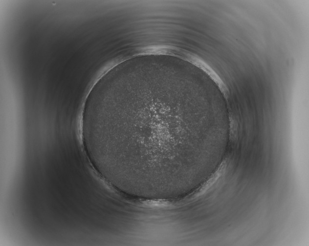 X0000101430994200807211146