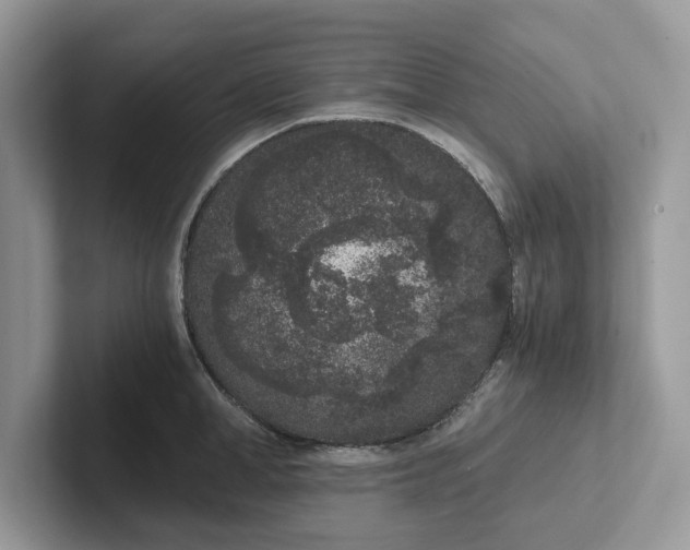 X0000101430998200807211146