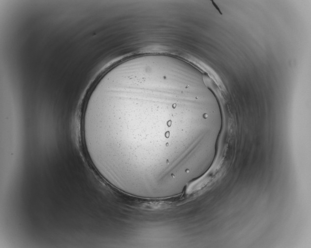 X0000101431000200807211146