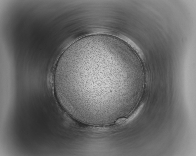 X0000101431001200807211146