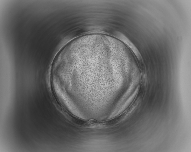 X0000101431002200807211146