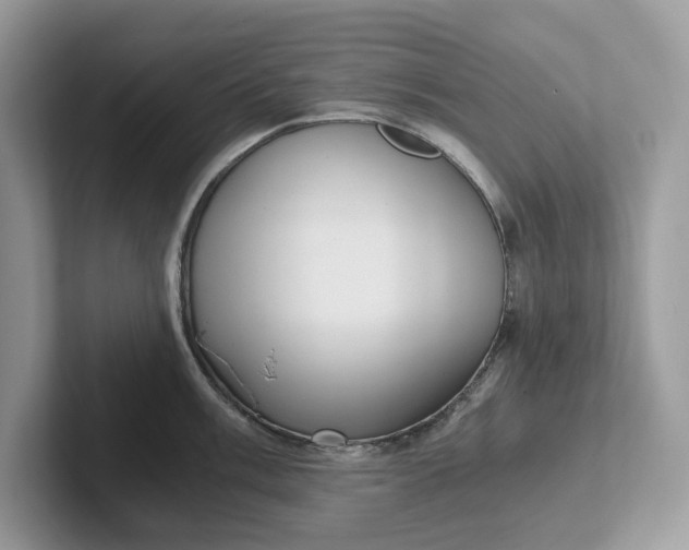 X0000101431003200807211146