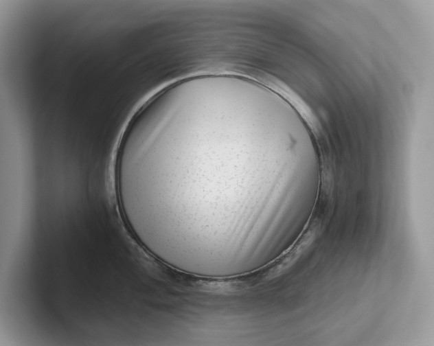 X0000101431004200807211146