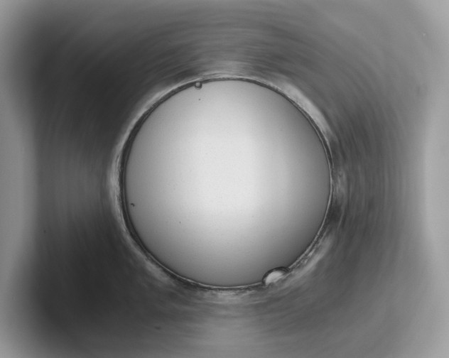 X0000101431005200807211146