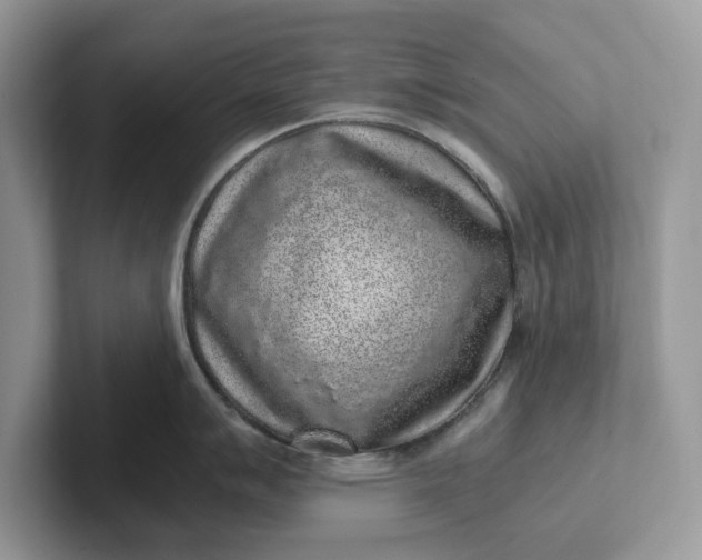 X0000101431007200807211146